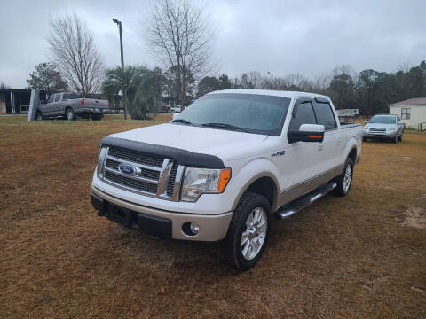 2010 Ford F-150 for sale at Lakeview Auto Sales LLC in Sycamore GA