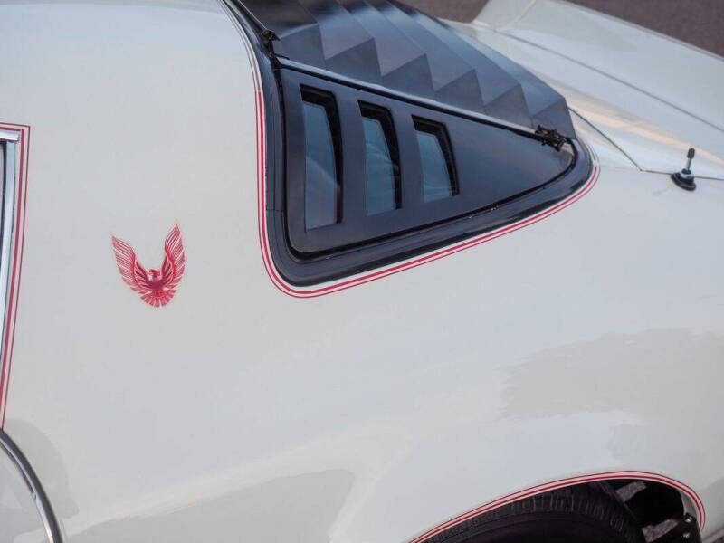 1981 Pontiac Firebird Trans Am