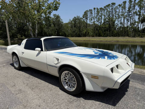 1981 Pontiac Firebird Trans Am