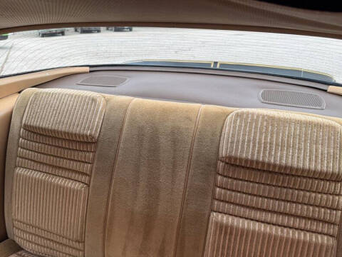 1981 Pontiac Firebird Trans Am