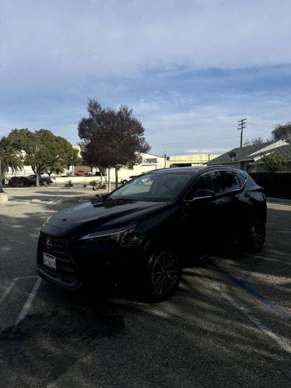 2024 Lexus NX 350 for sale at Auto Facil Club in Orange CA