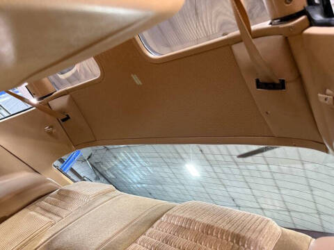 1981 Pontiac Firebird Trans Am