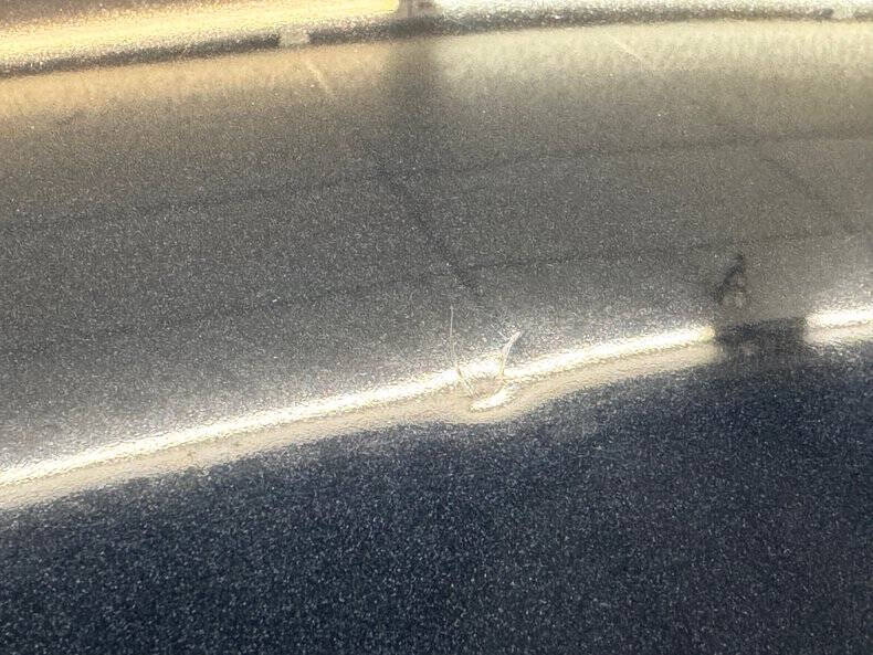 1981 Pontiac Firebird Trans Am