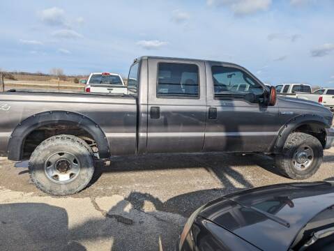 2005 Ford F-250 Super Duty for sale at C & N SALES in Breckenridge MO