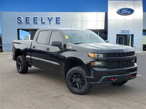 2020 Chevrolet Silverado 1500 for sale at Seelye Truck Center of Paw Paw in Paw Paw MI