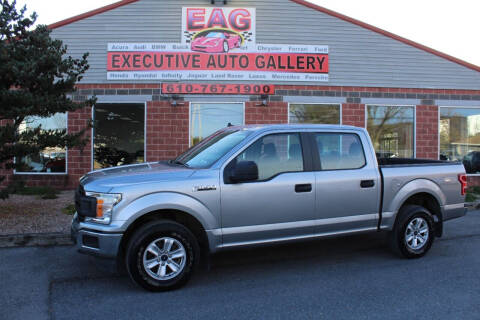 2020 Ford F-150 for sale at EXECUTIVE AUTO GALLERY INC in Walnutport PA