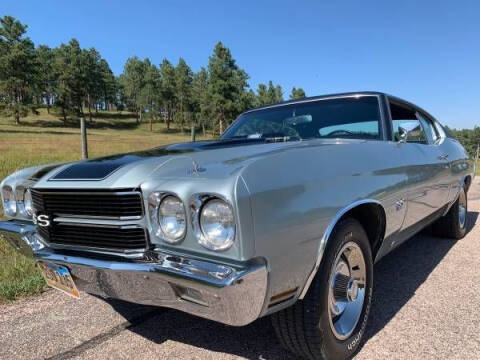 1970 Chevrolet Chevelle for sale at Classic Car Deals in Cadillac MI
