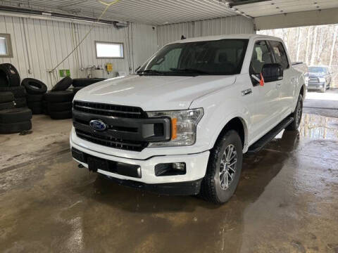 2020 Ford F-150 for sale at Monster Motors in Michigan Center MI