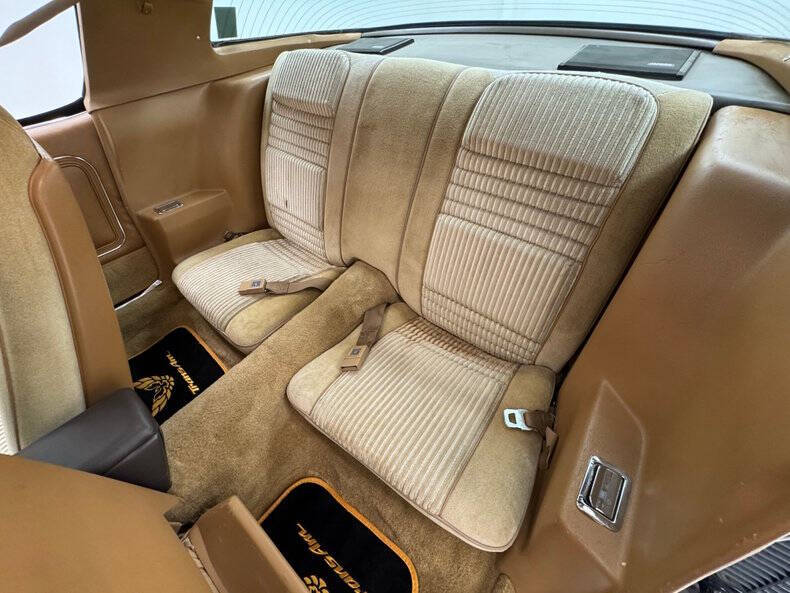 1981 Pontiac Firebird Trans Am