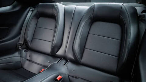 2019 Ford Mustang BULLITT