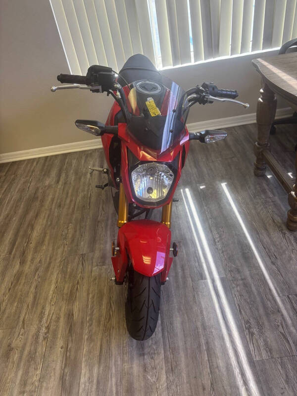 2023 Kawasaki Z125 Pro