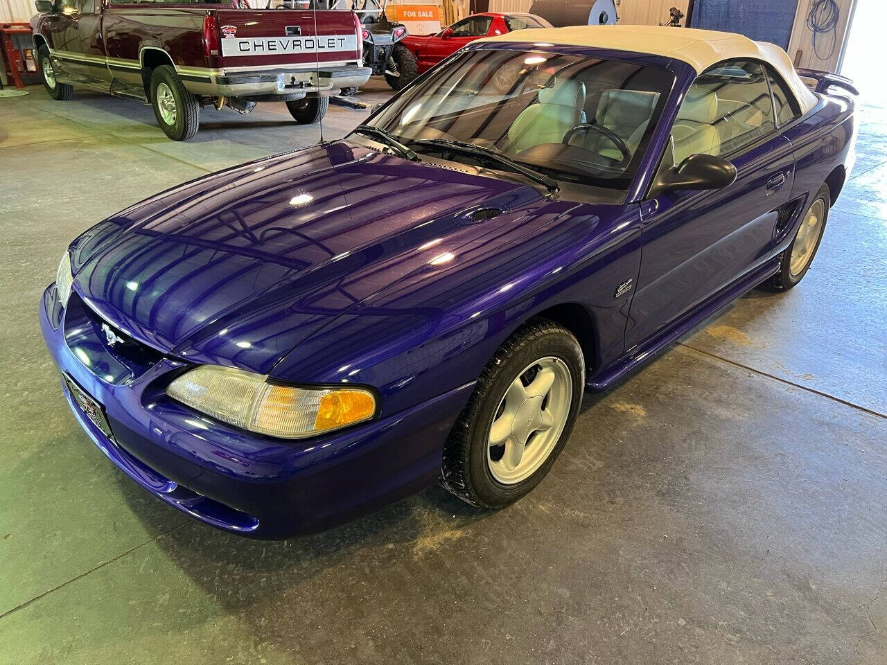 purple and black mustang