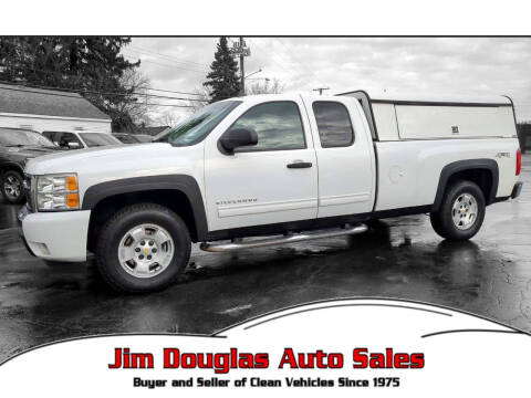 2010 Chevrolet Silverado 1500 for sale at Jim Douglas Auto Sales in Pontiac MI