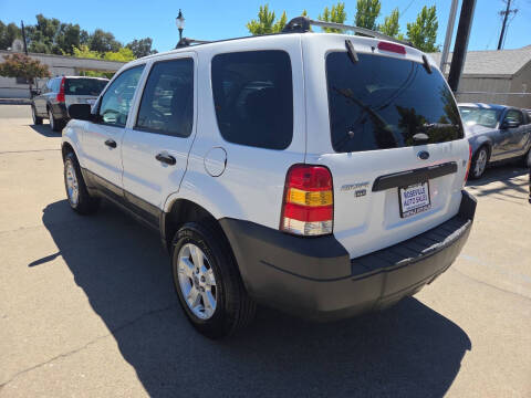 2005 Ford Escape XLT