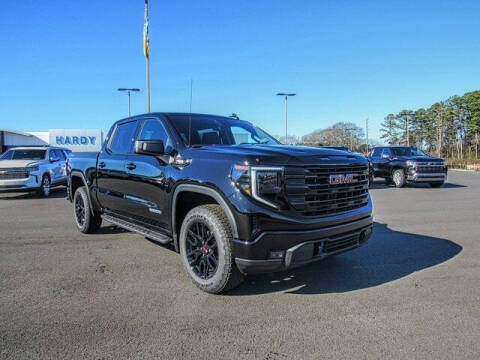 2023 GMC Sierra 1500 for sale at Hardy Auto Resales in Dallas GA