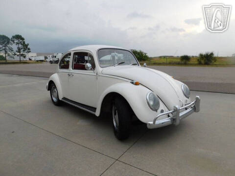 1966 Volkswagen Beetle