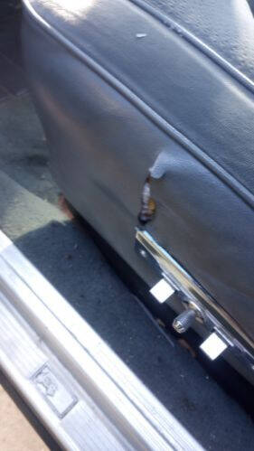 1985 Oldsmobile Cutlass