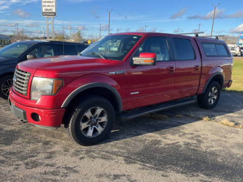 2011 Ford F-150 for sale at Premier Auto Sales Inc. in Big Rapids MI