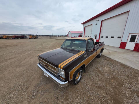 1976 GMC CK 1500 Series