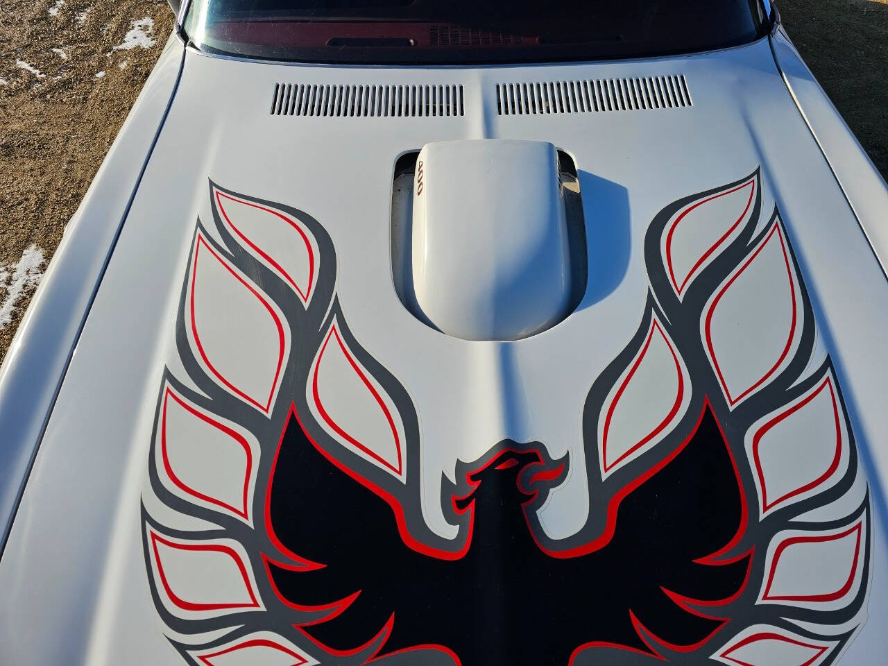 1976 Pontiac Trans Am 229