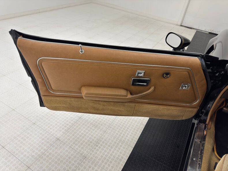 1981 Pontiac Firebird Trans Am