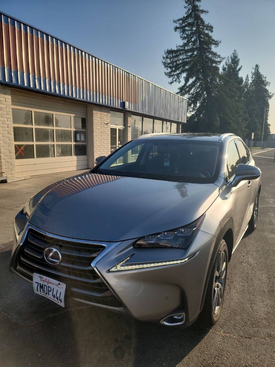 Gray 2015 Lexus NX 300h Base AWD 4dr Crossover 2