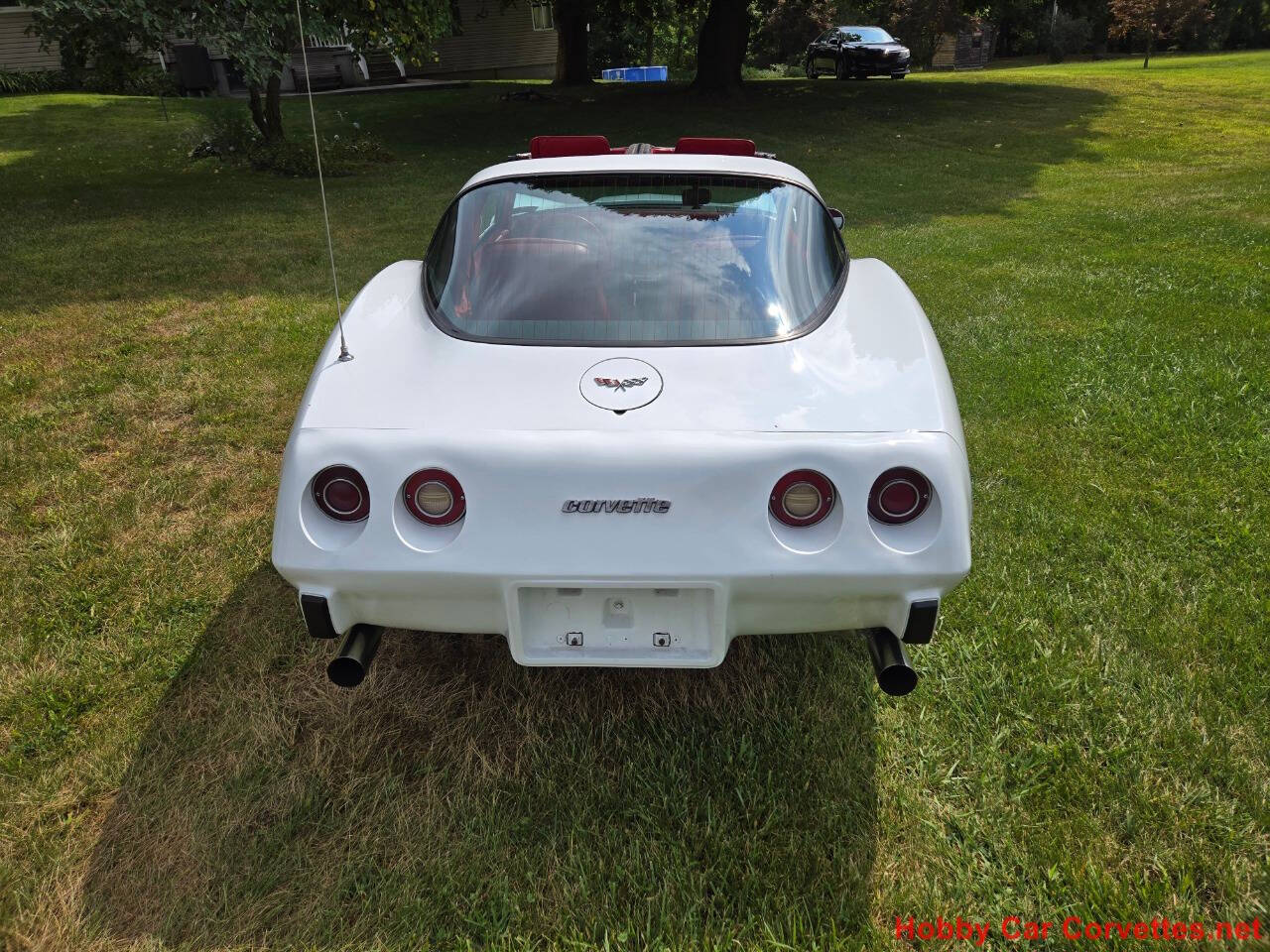 1979 Chevrolet Corvette 11