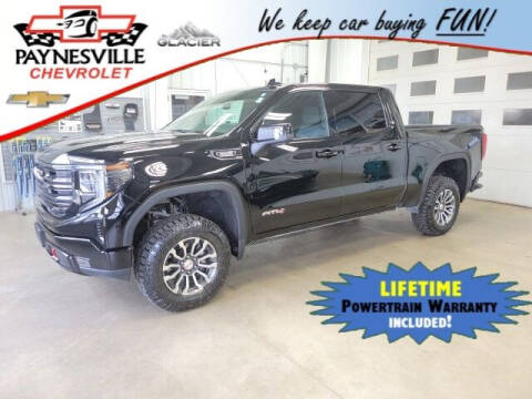 2022 GMC Sierra 1500 for sale at Paynesville Chevrolet in Paynesville MN