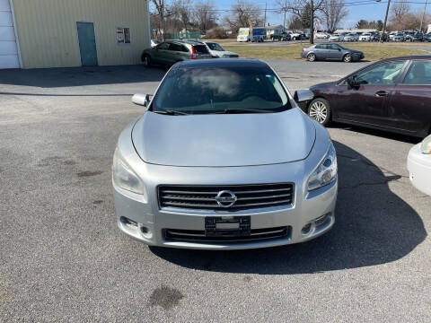 2010 Nissan Maxima for sale at Homeland Motors INC in Winchester VA
