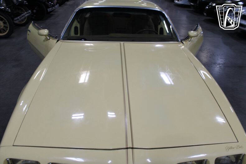 1980 Pontiac Firebird