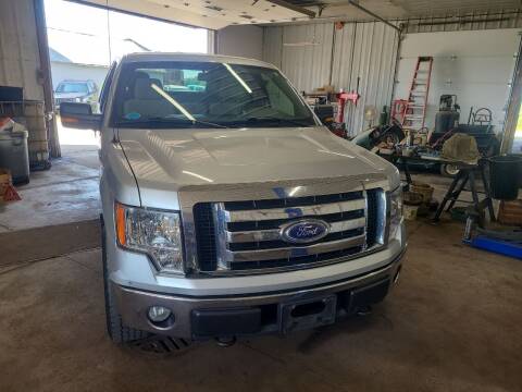 2010 Ford F-150 for sale at Craig Auto Sales LLC in Omro WI