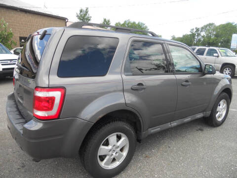 2011 Ford Escape XLT