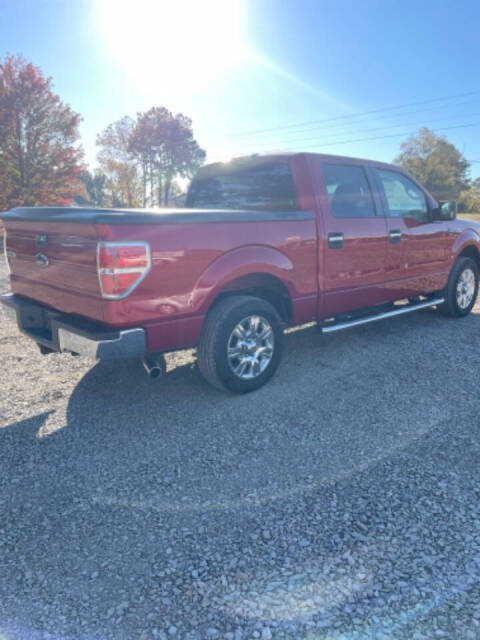 2010 Ford F-150 for sale at Cove Creek Motors LLC in Damascus, AR