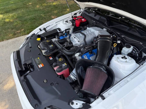 2013 Ford Shelby GT500