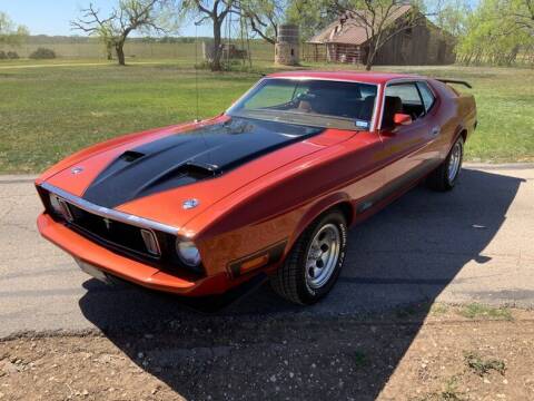 1973 Ford Mustang for sale at STREET DREAMS TEXAS in Fredericksburg TX