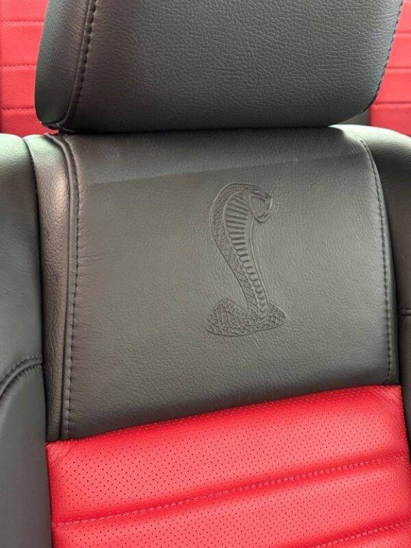 2007 Ford Shelby GT500