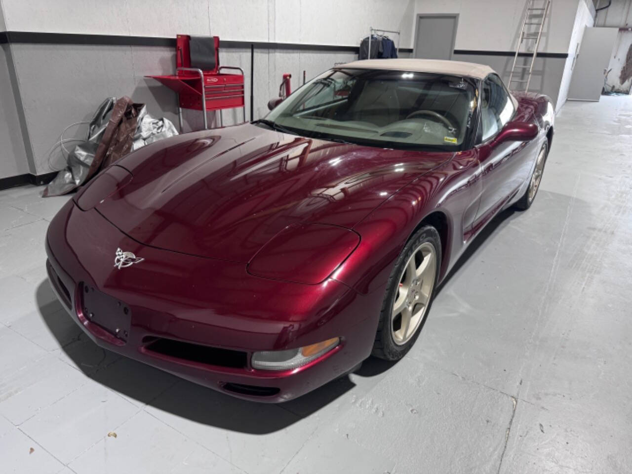 2003 Chevrolet Corvette for sale at EUROPEAN MOTORCARS OF TAMPA in Tampa, FL