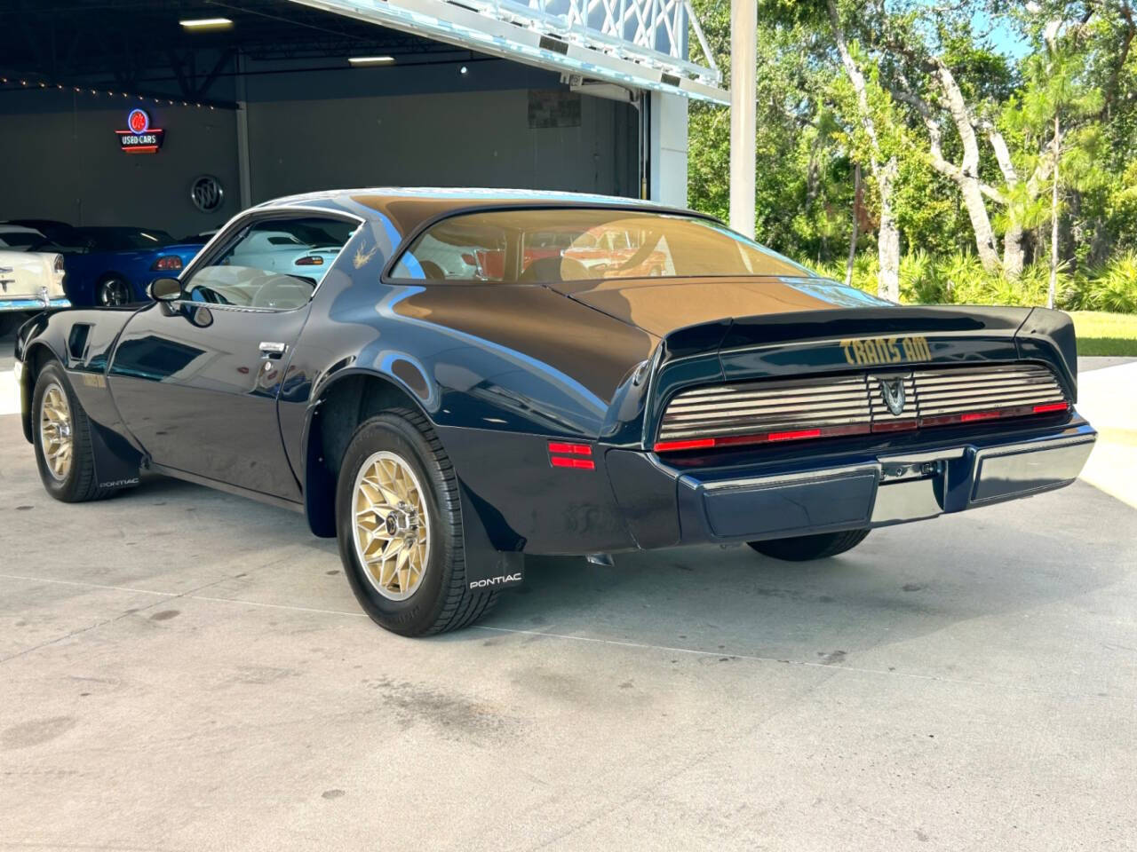 1981 Pontiac Firebird 10