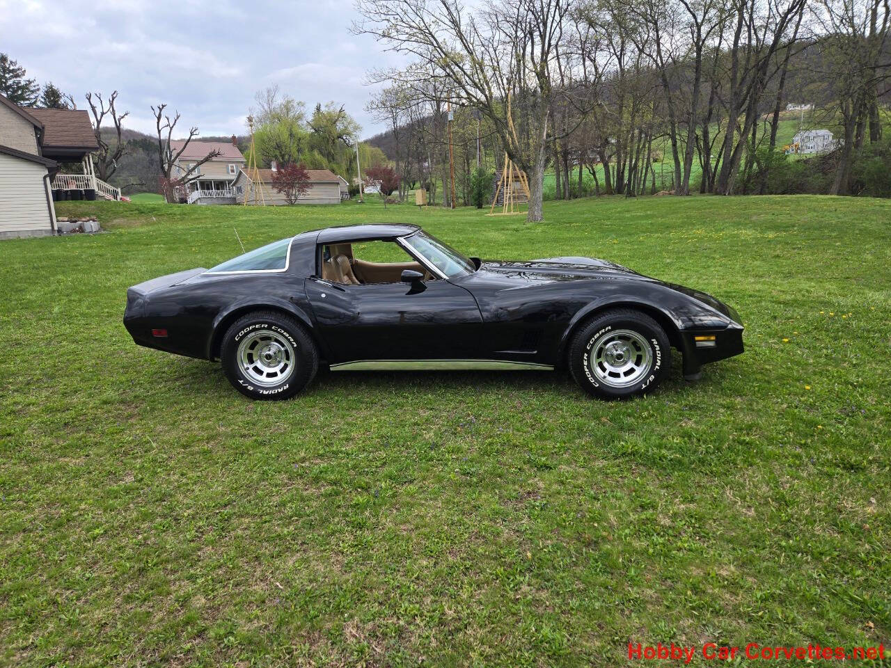1981 Chevrolet Corvette 5