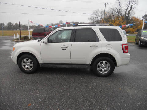 2011 Ford Escape Limited