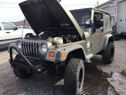 2003 Jeep Wrangler for sale at Troy's Auto Sales in Dornsife PA