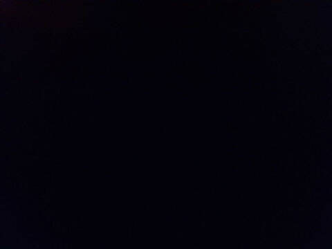 2022 Volkswagen Taos SEL 4Motion