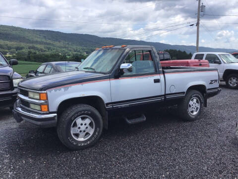 1993 Chevrolet C/K 1500 Series for sale at Troy's Auto Sales in Dornsife PA