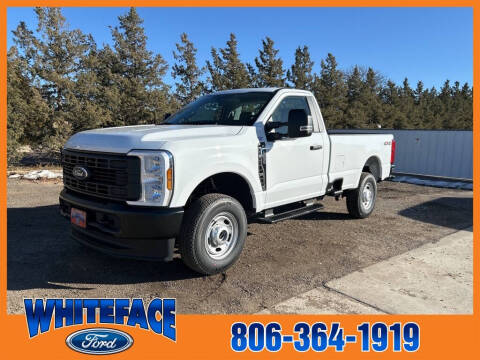 2025 Ford F-250 Super Duty for sale at Whiteface Ford in Hereford TX