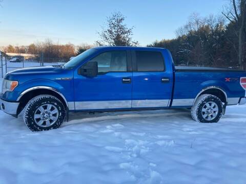 2010 Ford F-150 for sale at Expressway Auto Auction in Howard City MI