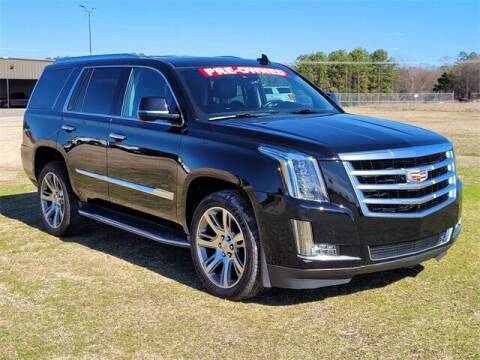 2016 Cadillac Escalade for sale at Express Purchasing Plus in Hot Springs AR