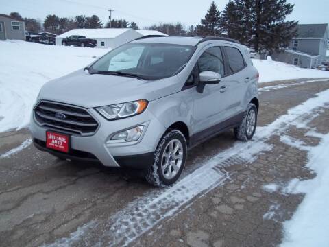 2019 Ford EcoSport for sale at SHULLSBURG AUTO in Shullsburg WI