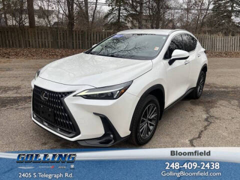 2022 Lexus NX 250