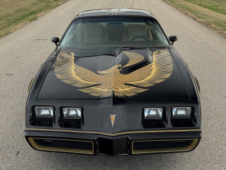 1981 Pontiac Firebird Trans Am