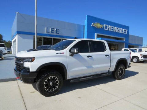 2024 Chevrolet Silverado 1500 for sale at LEE CHEVROLET PONTIAC BUICK in Washington NC